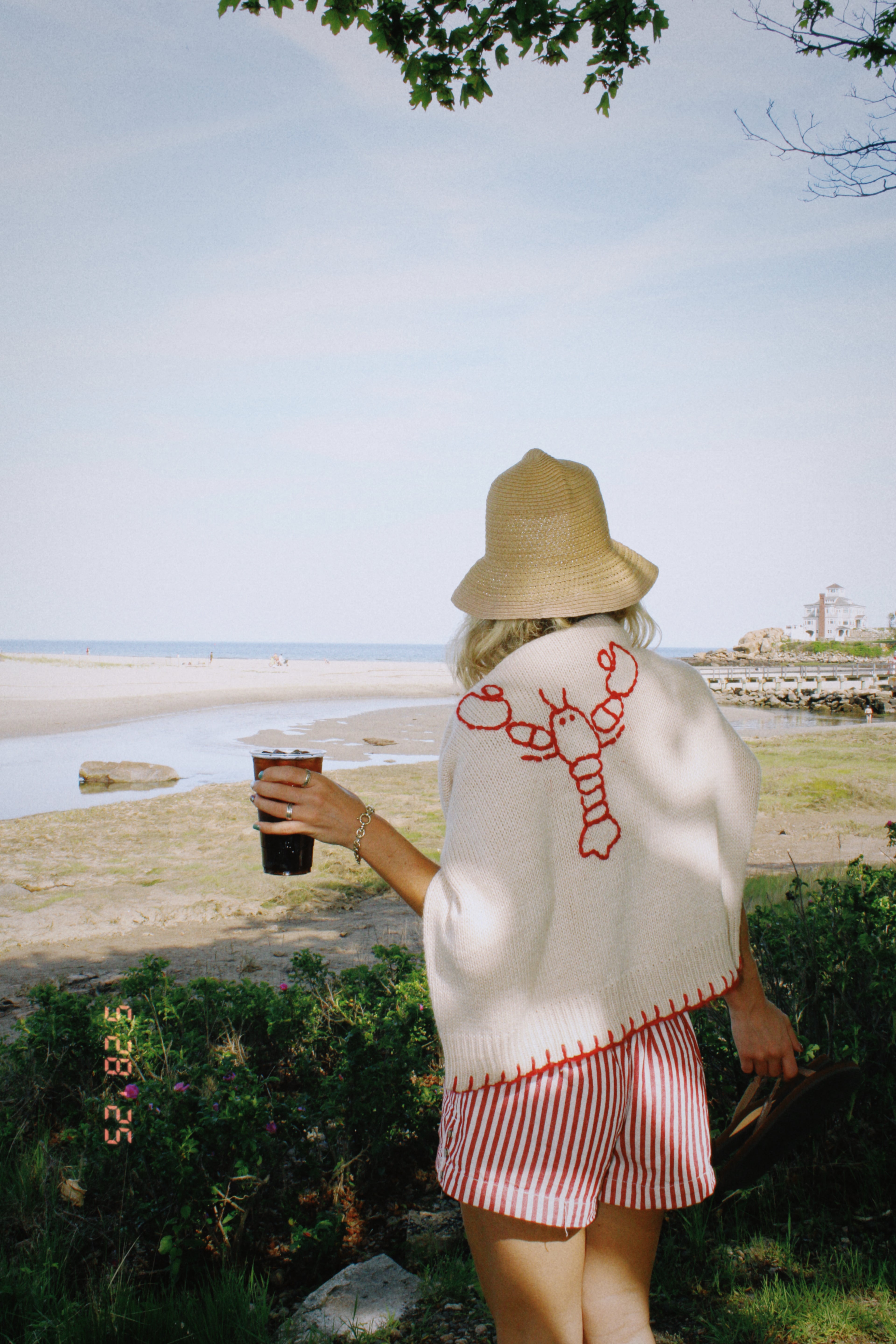 Coastal Lobster Knit Sweater